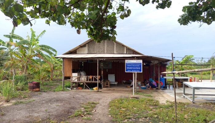 Gerakan Ekonomi Masyarakat, PT TIMAH Berdayakan KWT Lanjut Lestari Lewat Produk Belacan Cinta