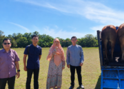 UBB Apresiasi Bantuan Sapi Kurban dari Kapolda Babel untuk Iduladha 1447 H