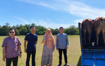 UBB Apresiasi Bantuan Sapi Kurban dari Kapolda Babel untuk Iduladha 1447 H