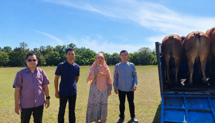 UBB Apresiasi Bantuan Sapi Kurban dari Kapolda Babel untuk Iduladha 1447 H