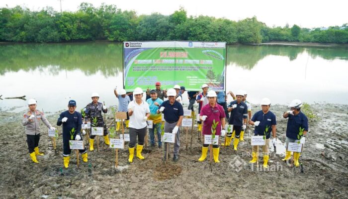 Bersama Pemkab Bangka, PT TIMAH Tanam Pohon di Kolong AKHLAK Air Kantung 
