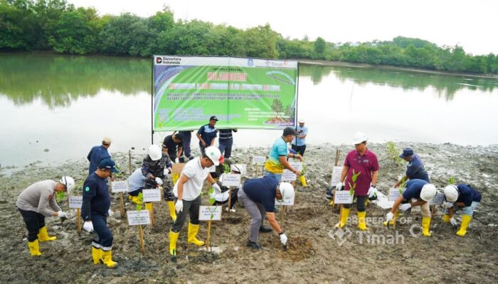 Kolaborasi PT TIMAH, Pemerintah Kabupaten Bangka dan Warga Ubah Kolong AKHLAK Jadi Kawasan Produktif