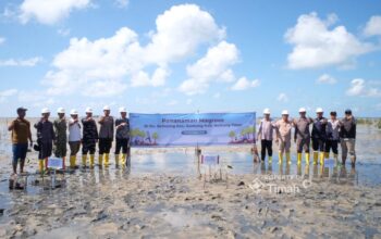 Dari Pesisir Belitung Timur, PT TIMAH dan Masyarakat Bergerak Jaga Alam Lewat Penanaman Mangrove di Pantai Mudong