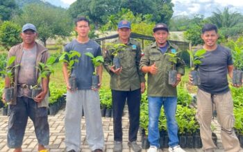 FORMAP Simpang Rimba Bagikan Ribuan Bibit Kopi Gratis, Dorong Ekonomi Petani dan Pulihkan Lahan Eks Tambang