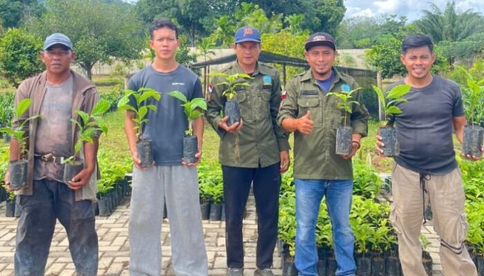 FORMAP Simpang Rimba Bagikan Ribuan Bibit Kopi Gratis, Dorong Ekonomi Petani dan Pulihkan Lahan Eks Tambang