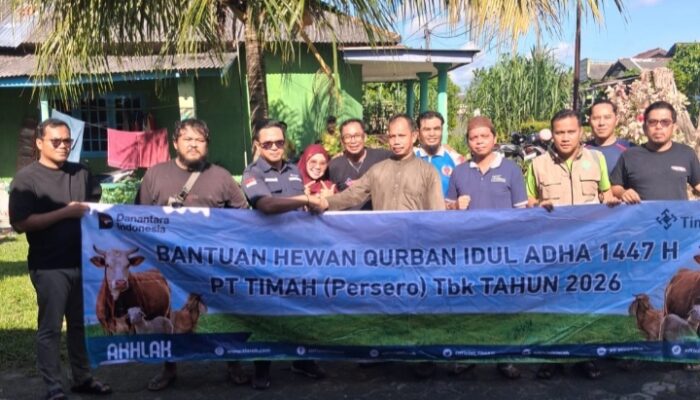 Iduladha Penuh Kebersamaan, SMSI Babel Kembali Gelar Pemotongan Hewan Kurban