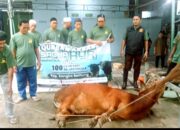 DKM Al Hidayah Tuatunu Sembelih 11 Sapi dan 9 Kambing, Distribusikan 530 Kantong Daging Kurban