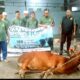 DKM Al Hidayah Tuatunu Sembelih 11 Sapi dan 9 Kambing, Distribusikan 530 Kantong Daging Kurban