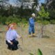 Puluhan Ribu Mangrove Ditanam Sepanjang 2025, PT TIMAH Dukung Target Net Zero Emissions 2060