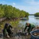 YKAN Fokus Lindungi Mangrove Bangka Belitung, Dorong Ekowisata dan Budidaya Kepiting untuk Tingkatkan Ekonomi Masyarakat