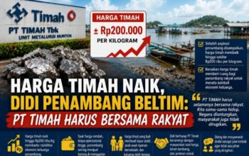 Harga Timah Naik, Penambang Beltim: PT Timah Harus Bersama Rakyat