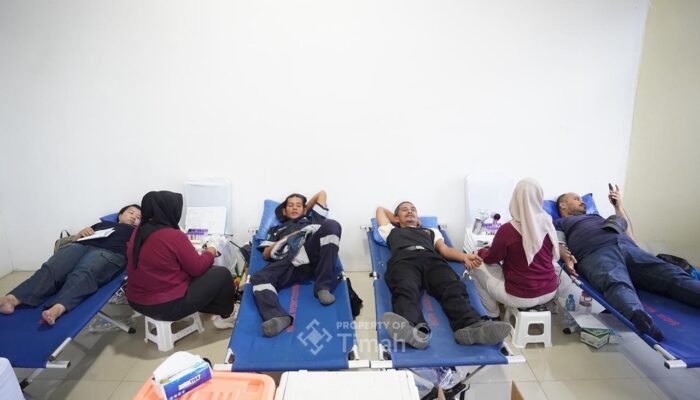Donor Darah Warnai Bulan Bakti HUT ke-50 PT TIMAH di Bangka Tengah, Bantu Penuhi Kebutuhan Darah 