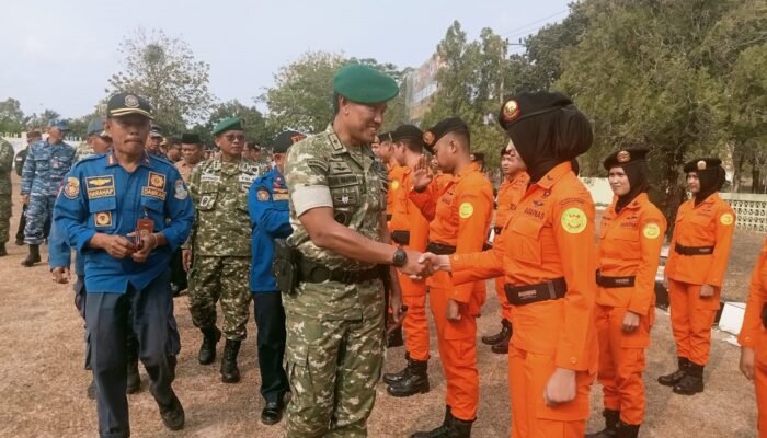 117 Hotspot Terdeteksi, Babel Masuk Siaga II Karhutla, Korem Bentuk Pasukan Anti Kebakaran