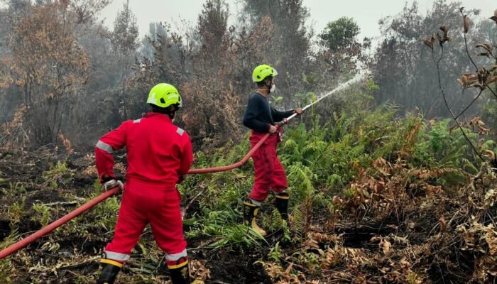 PT TIMAH Kerahkan Personel Fire Fighter Bersama Grup MIND ID Tangani Karhutla di Kalimantan Barat 