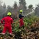 PT TIMAH Kerahkan Personel Fire Fighter Bersama Grup MIND ID Tangani Karhutla di Kalimantan Barat 