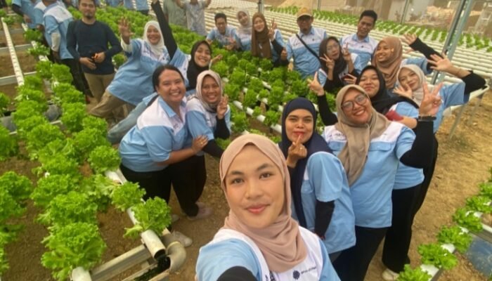 Gertanusa Latih 32 Pemuda Babel Bertani Hidroponik, Bidik Peluang Usaha dan Tekan Pengangguran