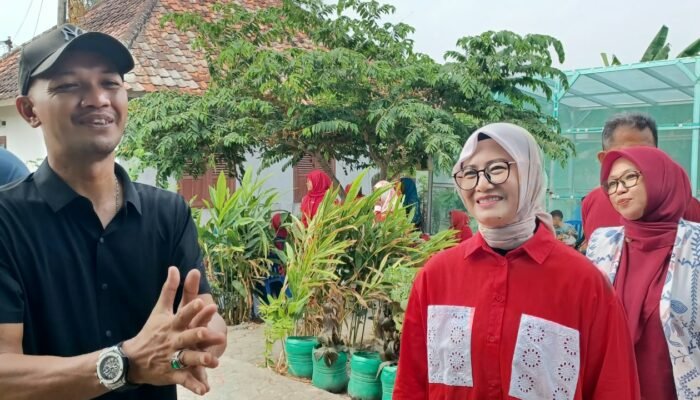 Urban Farming Jadi Strategi Pangkalpinang Perkuat Ketahanan Pangan