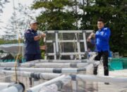PT TIMAH dan HNSI Kolaborasi Tenggelamkan Atraktor Cumi di Perairan Bangka, Bantu Nelayan Hemat Biaya Melaut dan Jaga Ekosistem Pesisir