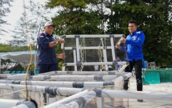 PT TIMAH dan HNSI Kolaborasi Tenggelamkan Atraktor Cumi di Perairan Bangka, Bantu Nelayan Hemat Biaya Melaut dan Jaga Ekosistem Pesisir