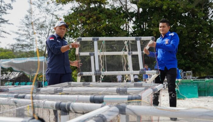 PT TIMAH dan HNSI Kolaborasi Tenggelamkan Atraktor Cumi di Perairan Bangka, Bantu Nelayan Hemat Biaya Melaut dan Jaga Ekosistem Pesisir