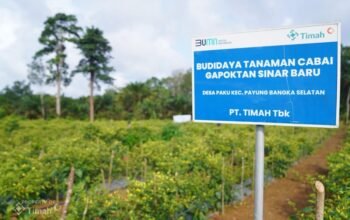 Dari Pertanian hingga Perikanan, PT TIMAH Dukung Ketahanan Pangan di Wilayah Operasional