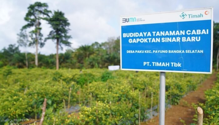 Dari Pertanian hingga Perikanan, PT TIMAH Dukung Ketahanan Pangan di Wilayah Operasional